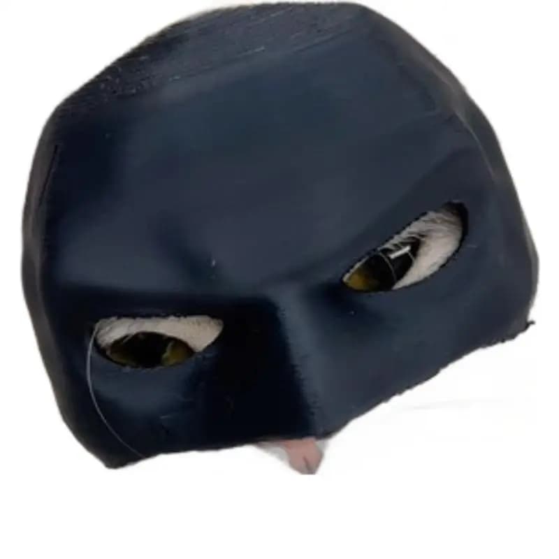 Pet Masks Cat & Batman Halloween Party Decorations Plastic Masks with Spider Web Pattern All Seasons Stock
